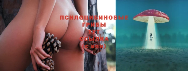 СК Балабаново