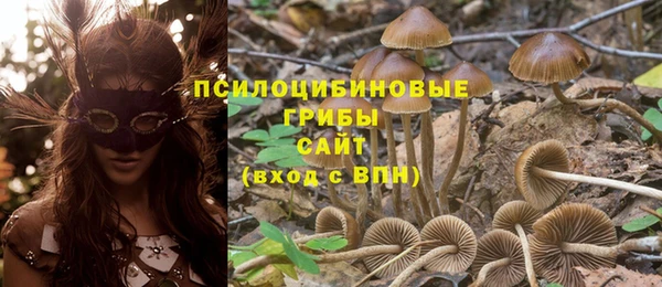 СК Балабаново