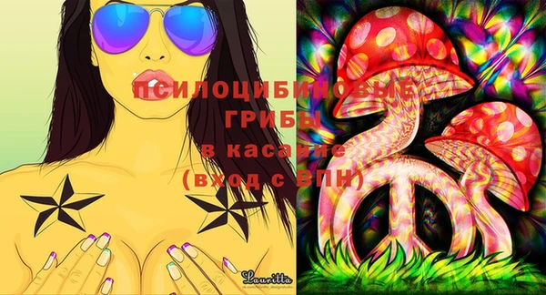 индика Ступино