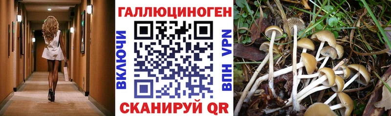 Галлюциногенные грибы мухоморы  Змеиногорск 